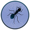 Virtual Ant
